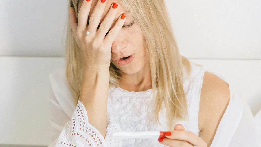 Inkubátor sociálních podniků – výsledky